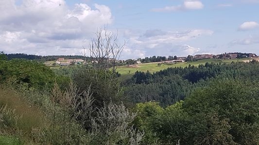 martinange