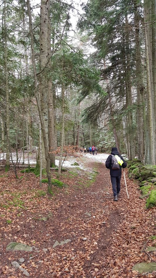  foret des martourets