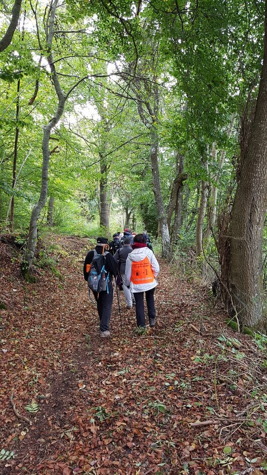 foret de peymarie