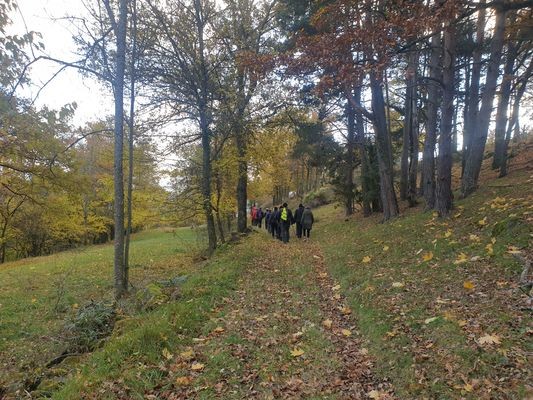 automne