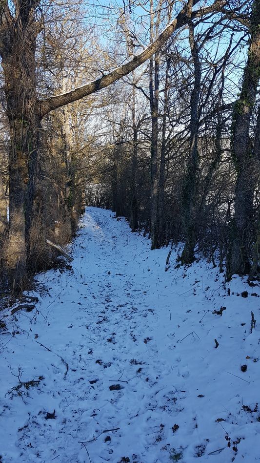 sentier de robert