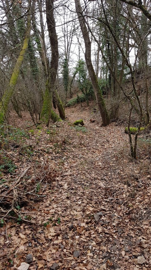  sentier tortueux