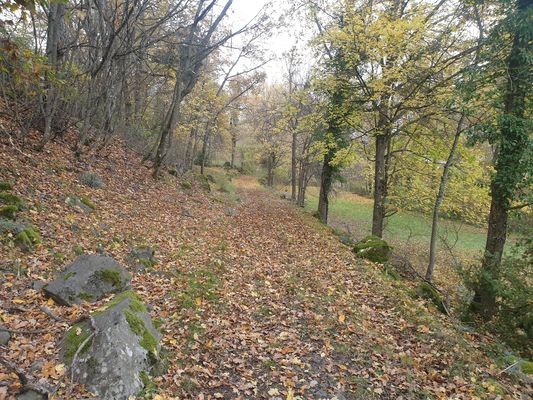 automne