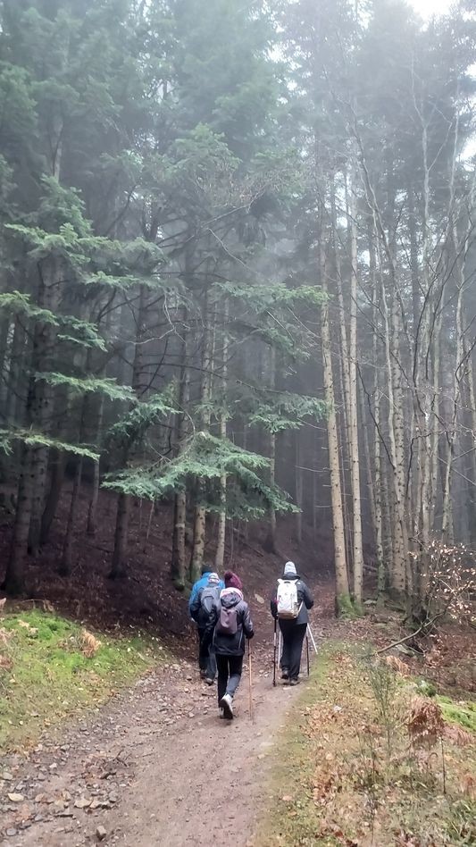 dans la foret de jorance