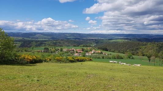 le poux a l arriere beauzac