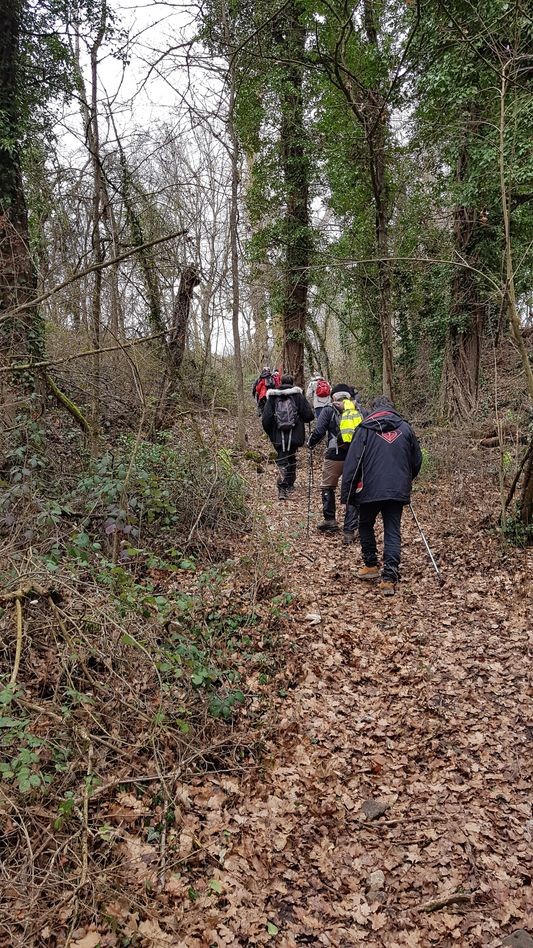  sentier tortueux