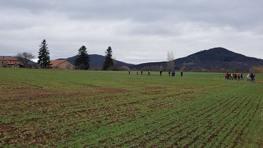  la plaine
