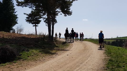 rencontre avec des cavalieres