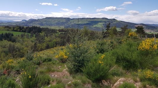 suc de chaumont miaune la madeleine
