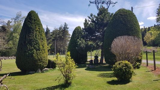 la pervenchere