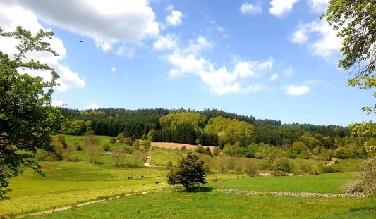  panorama 1