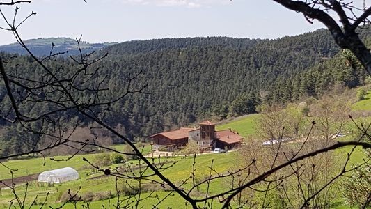 espaladous