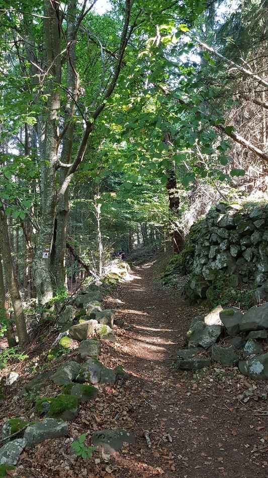autour du chateau 1