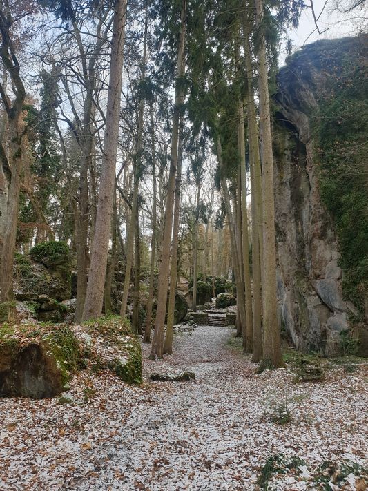 bois des seigneurs