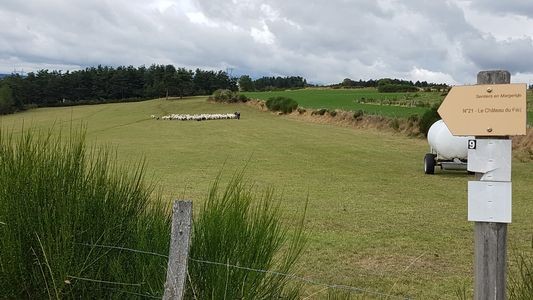 le berger et ses moutons 1