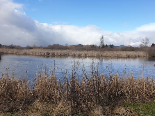Etang de la plaine